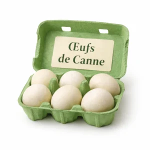 6 Oeufs de canne
