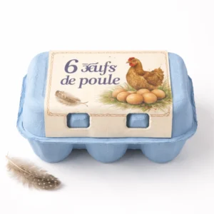6 oeufs de poules A2pas2moi