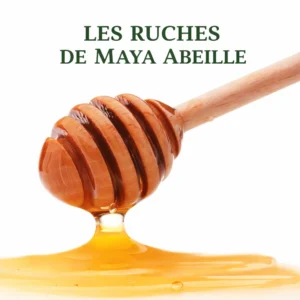 Les ruches de Maya Abeille A2pas2moi